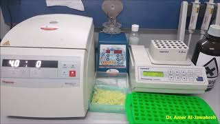 DNA extraction from Sandfly Phenol chloroform method Part 2 [upl. by Notsag]