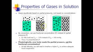 OLD VIDEO  ANES 475  Lecture 4  Part 1 [upl. by Hermann]