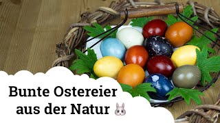 Ostereier  Natürlich färben mit Naturmaterialien 😍🐰 [upl. by Okihcim531]