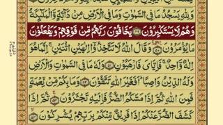 QuranPara1430Urdu Translation [upl. by Daphie496]