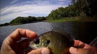 Panfishing with a Clouser Minnow [upl. by Annoya]