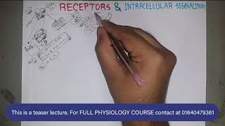 Receptors amp Intracellular Signaling  ENDOCRINE PHYSIOLOGY  বাংলা  Bangla [upl. by Batruk]