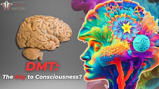 The Profound Potential of DMT  Psychedelic brain connections [upl. by Airot]