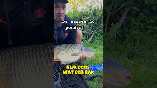 karper karpervissen fishing carpfishing vissen fish karpers vis fishinglife karperlife [upl. by Marysa]