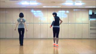 One Way Ticket Line Dance Beginner Level [upl. by Buote956]