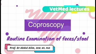 Inside the Lab Mastering Routine Fecal or Stool Examination Techniques in 5 minutes [upl. by Ecneps]