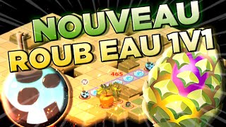 LE RETOUR DU ROUBLARD EAU EN 1V1 SUR DOFUS MAJ 270 [upl. by Haleemaj937]