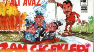 Ali Avaz  Eşşeği Saldım Çayıra [upl. by Dralliw]