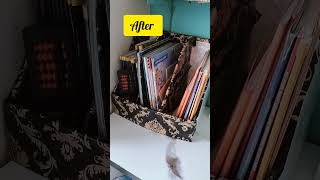 Diy Book organiser trendingtechknowtipsahorts trending bookshelf diy [upl. by Wolfgram934]