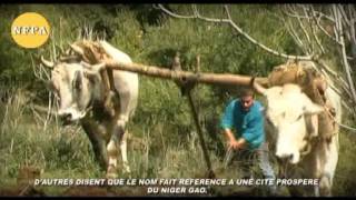 AHMED OULKADI  UN ROI KABYLE N°1flv [upl. by Antoinette]