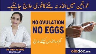 No OvulationAnovulation Symptoms Treatment  Anda Nahi Bane To Kya Karen  No Eggs Release In Women [upl. by Rosenblast]