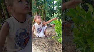 Planting tree by a 2year kids shorts ytshorts ronaldo [upl. by Grethel622]