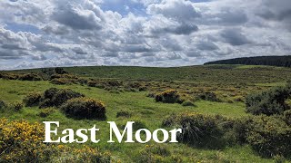 East Moor Near Altarnun  Explore Bodmin Moor [upl. by Aehsan]