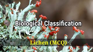 biology  biological classification  mcq  Tamil  AlAlimeSchoolLearning [upl. by January]