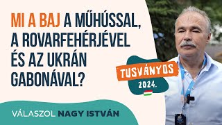 Tusványosi interjúk Nagy István az ukrán gabona és a műhús veszélyeiről‌ [upl. by Irrak]