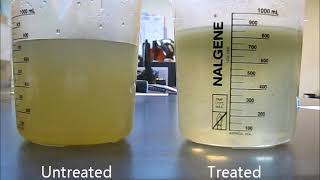 ElectroCoagulation Demonstration [upl. by Richie]