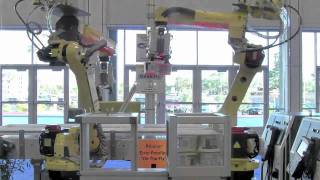 M10iA Cream Cheese Packing Robots  FANUC Robotics Industrial Automation [upl. by Ayirp]