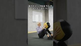 코어의 구성 성분 anatomy [upl. by Rostand]