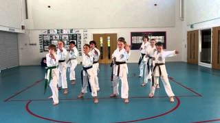 Zanshin Karate Cymru Demonstration Team 2013 [upl. by Nay]