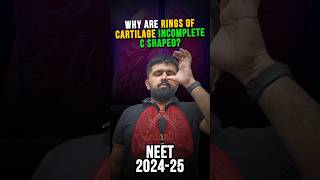 Why Are Your Rings of Cartilage INCOMPLETE C Shaped neetxbyvedantu cartilage venkysir [upl. by Redle157]