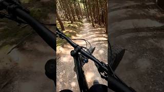 Fast Run Rubin Klinovec mtb mtblife downhill enduro bikepark bike fun music 80s trail [upl. by Janot]