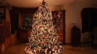 Building the Most Beautiful Christmas Tree Time Lapse [upl. by Prior]