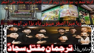 Tarjuman E Maqtal E Sajjad Rabba Mera Asghar Menu Yaad Bara Hun avay Muqam E Ali Asghar Karbala [upl. by Slater414]