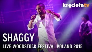 Shaggy LIVE Woodstock Festival Poland 2015 FULL CONCERT [upl. by Rotman120]