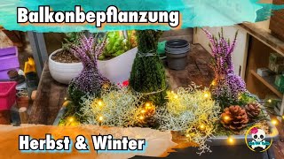 Blumenkästen für Herbst und Winter  Besenheide amp Stacheldrahtpflanze  Balkonpflanzen Herbst Winter [upl. by Surovy]