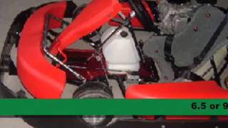 Racing Go Kart For Sale [upl. by Klemens]