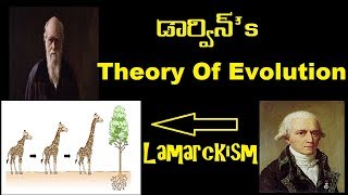 Darwins Theory of Evolution  Natural selection  Lamarckism  Telugu [upl. by Norraj]