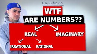 QMS 110  Numbers Overview Real Imaginary Irrational Rational  Ryerson [upl. by Tarrel472]