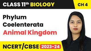 Phylum Coelenterata  Animal Kingdom  Class 11 Biology Chapter 4  CBSE [upl. by Paula985]