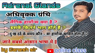 अधिवृक्क ग्रंथि  Adrenal Glands  दुःख दर्द के समय कौन सा हार्मोन्स स्रावित करता है by Ganesh sir [upl. by Bara872]