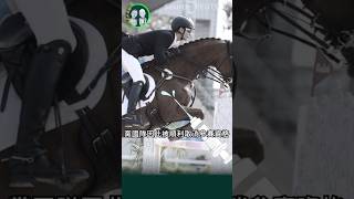 給馬兒用藥？奧運馬術比賽🐎黨國選手被取消資格！ 奧運 中國 [upl. by Arakat]