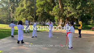 outdoor karate in San Francisco with Zanshin Dojo [upl. by Durnan]