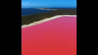 Lake Hillier in Australia [upl. by Garber130]