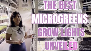 The Best Grow Lights For Microgreens [upl. by Ashlie]