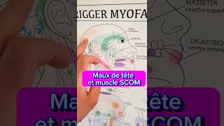 Mal de tête musculaire  Muscle SCOM [upl. by Yerxa]