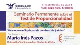 Seminario Permanente sobre el Test de Proporcionalidad  15 de jun 2020 [upl. by Ladin411]