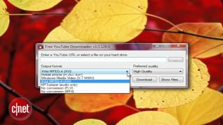 First Look Free YouTube Downloader [upl. by Earezed]