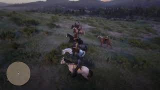 Red Dead Redemption 2 Companion Glitch with 13 Members [upl. by Reeher]