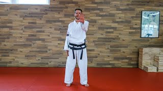 Die 5 wichtigsten Schrittstellungen Tutorial  TaekwonDo [upl. by Einnim604]