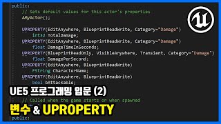 UE5 프로그래밍 입문 2  변수 amp UPROPERTY  언리얼 5 U5P1 [upl. by Nesaj]