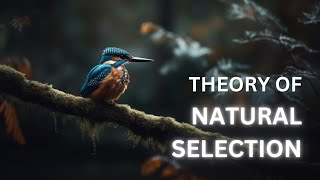 Survival Of The FITTEST  Theory of Natural Selection [upl. by Searcy]