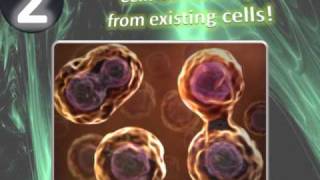 The Cell Theory Animation  Explaining the Laws of all Living Orginisms [upl. by Leelah]