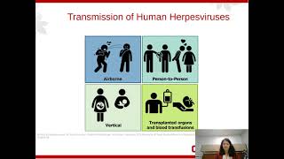 VaricellaZoster Virus VZVOne Pathogen with Multiple Clinical Manifestations [upl. by Comyns]