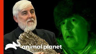 Cryptozoology Expert Helps The Team  Finding Bigfoot [upl. by Eveam]