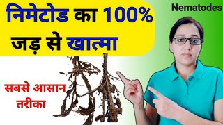 Nematodes attack amp control in hindi  nematode control organic  nematode control  nematodes [upl. by Nawak]