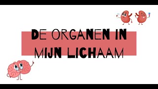 De organen in mijn lichaam [upl. by Ajup]